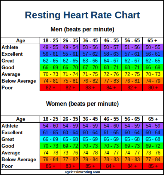 What is the normal adult heart rate